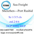 Shenzhen Port Sea Freight Shipping To Port Rashid